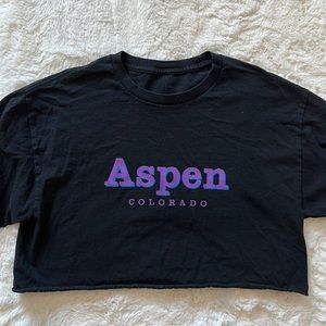 Brandy Melville Aspen Crop Top